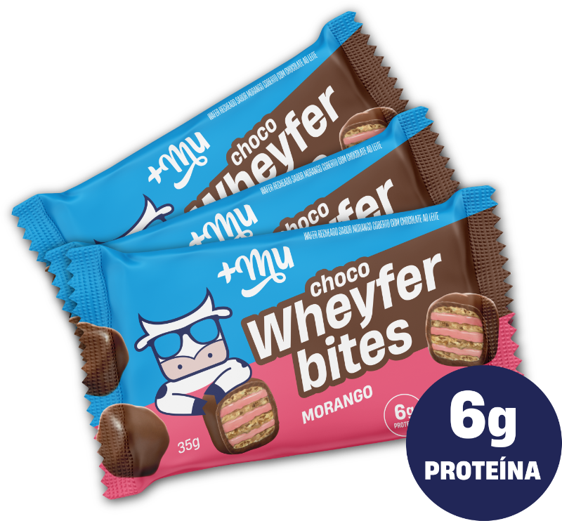 ChocoWheyFer Bites - Sabores Varios (35 g)