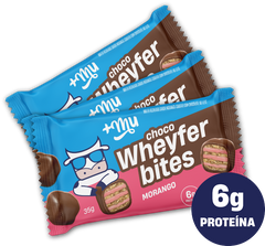 ChocoWheyFer Bites - Sabores Varios (35 g)